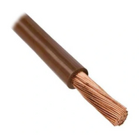Przewód LGY25 H07V-K brązowy