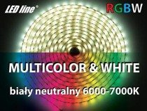 Taśma Led line Multicolor 300 SMD5060 RGBW