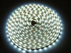 Taśma Led Line 12V 4,8W/m 6500K zimna IP20