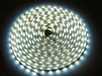 Taśma Led Line 300 4,8W/m 6500K zimna IP65
